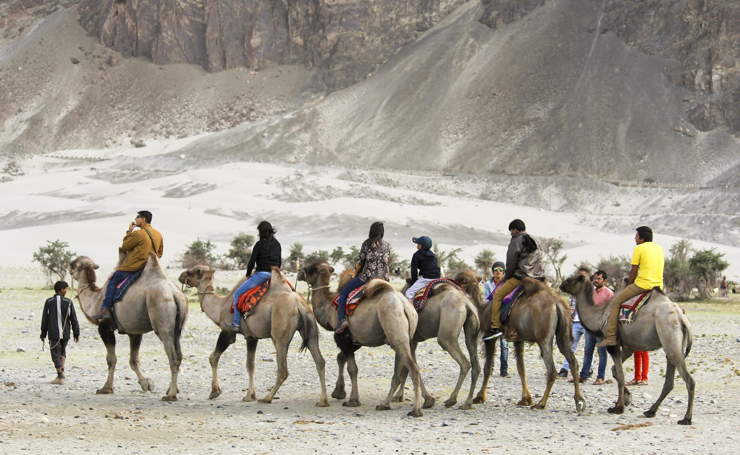 People enjoying camel ride at Nubra Valley