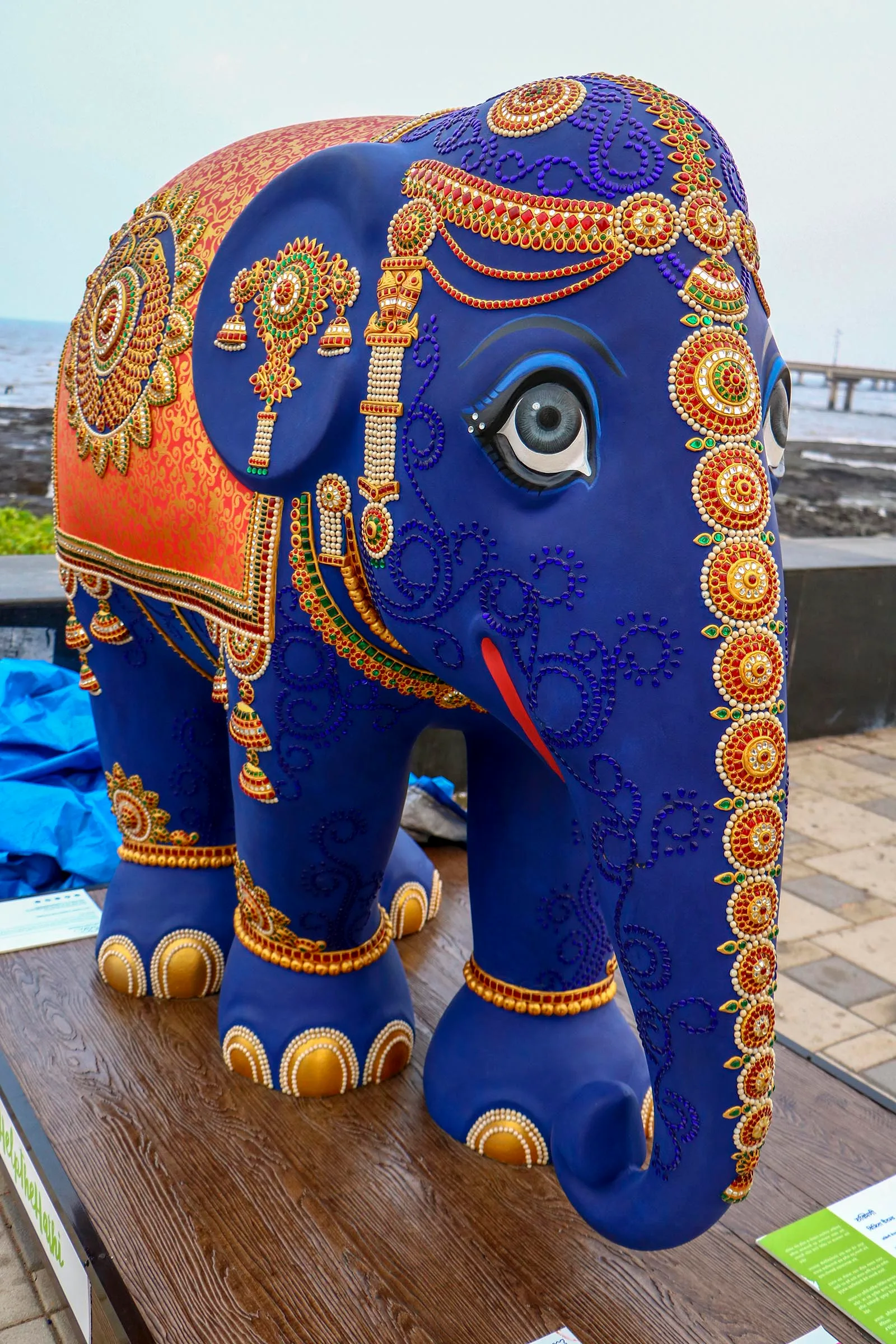 Save the elephants